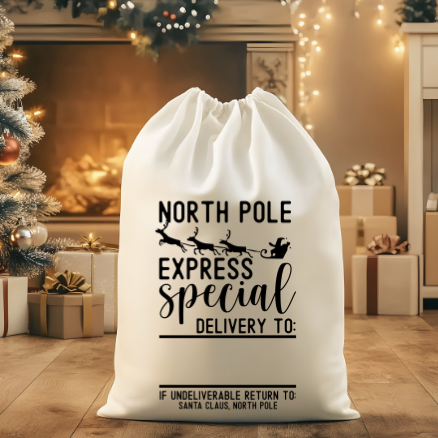 Special Delivery Santa Sak